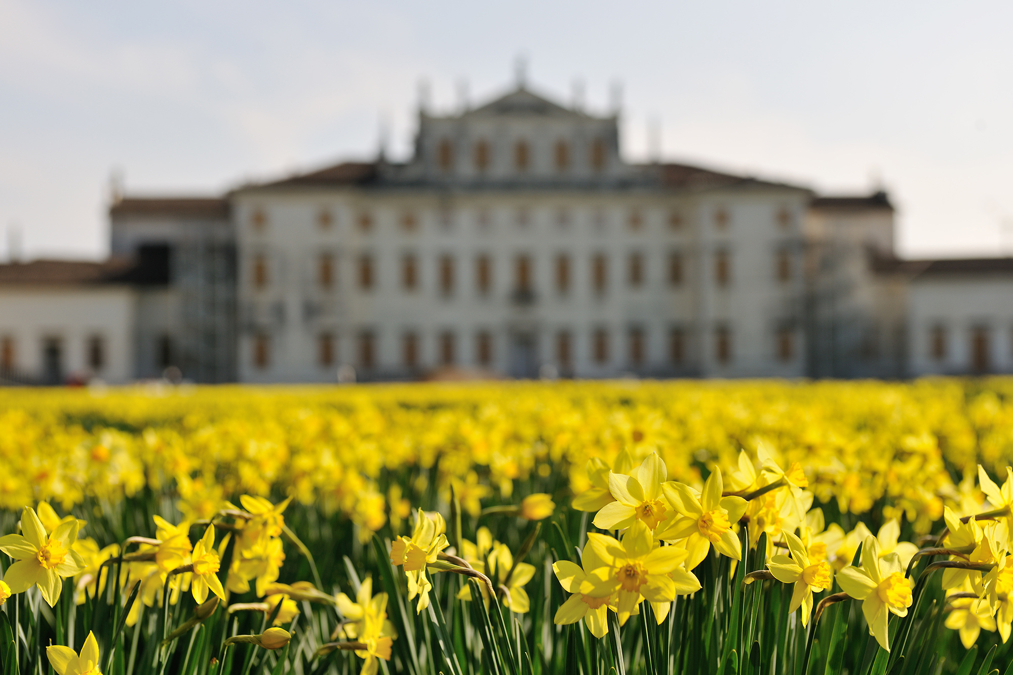 Villa Manin Passariano